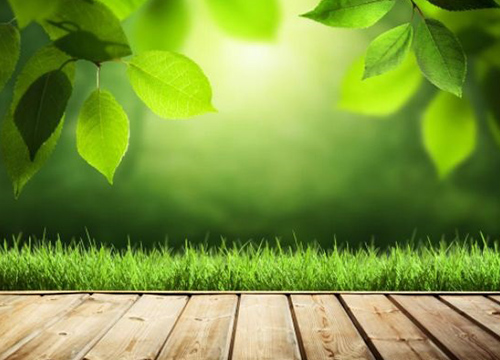 2019年挑地板 除了價格還應(yīng)該看哪幾點？